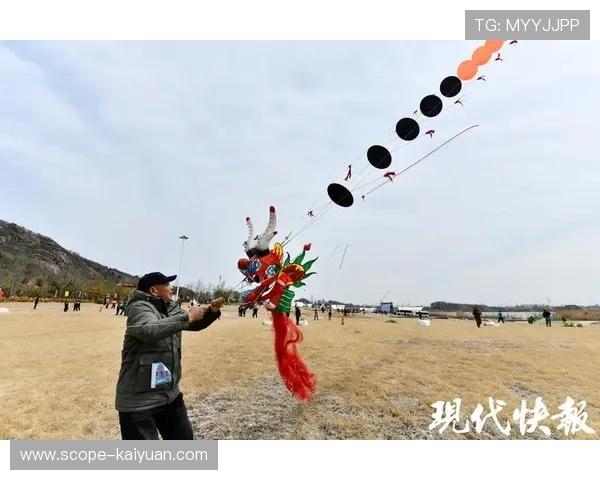 200风筝高手竞逐沈阳 200风筝高手竞逐沈阳